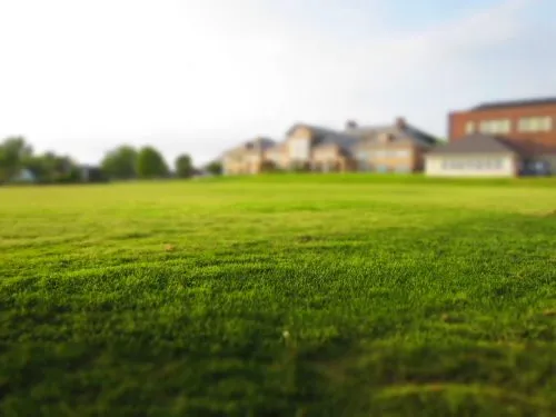 Why You Need a Real Estate Lawyer in Ontario